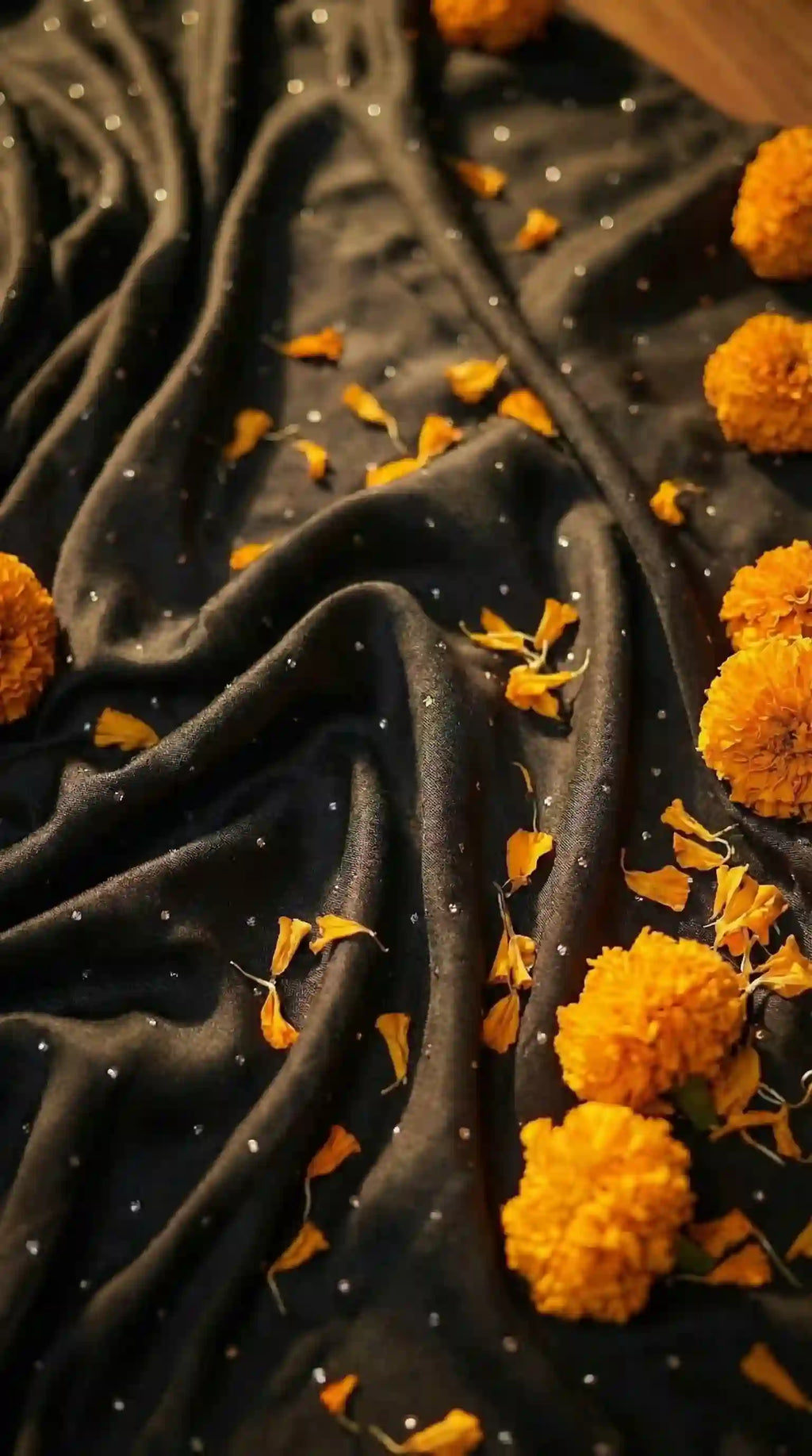 KAAL - Blouse, Saree and Blazer Set